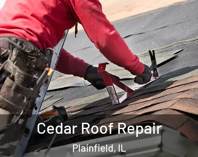  Cedar Roof Repair Plainfield, IL