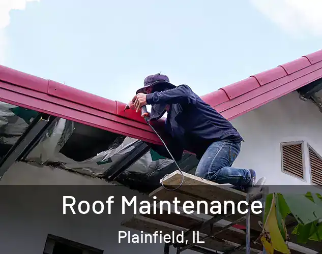  Roof Maintenance Plainfield, IL