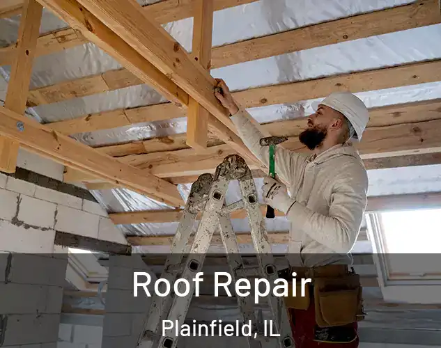  Roof Repair Plainfield, IL